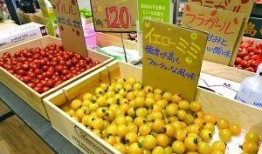 水果台最新爆料