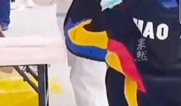 大白哥哥最新爆料停服了吗,热门游戏停服真相大揭秘